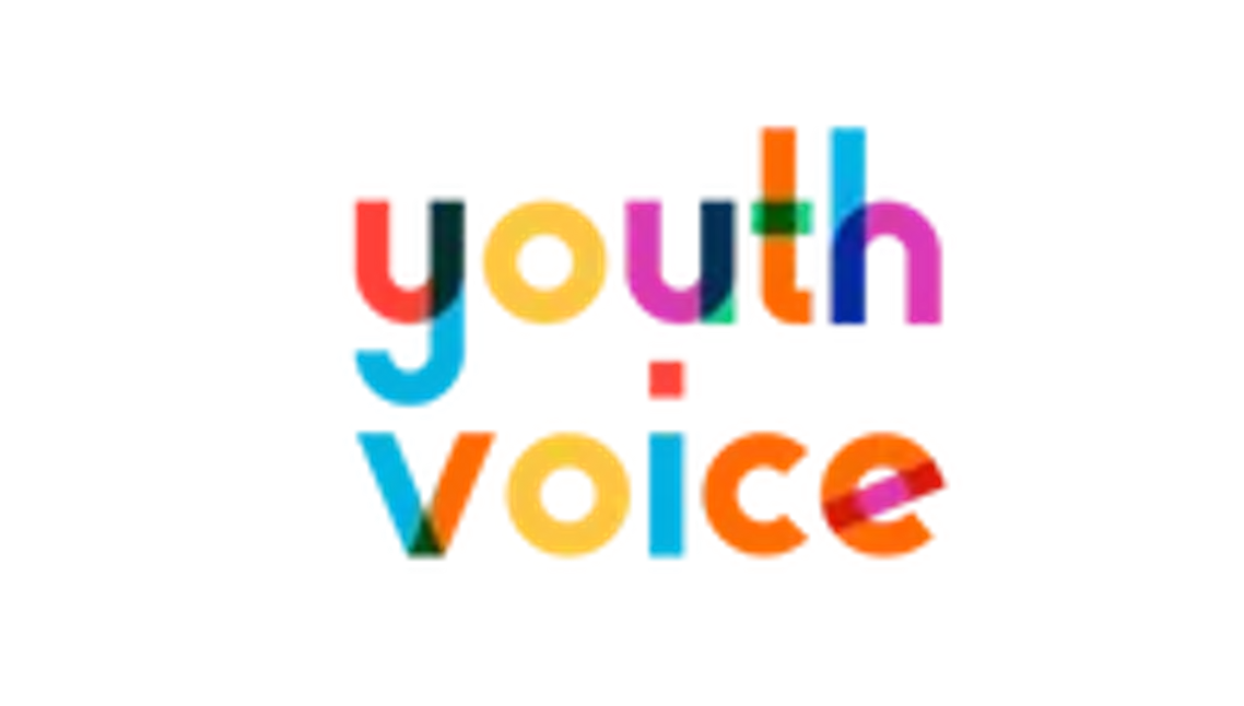 Youth Voice