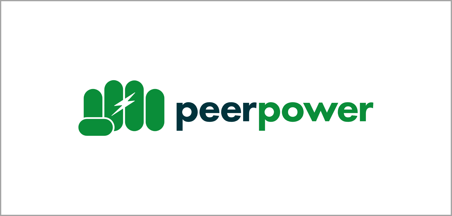 Peer Power Youth logo