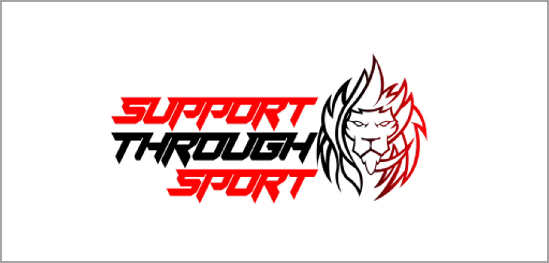 Support Through Sport logo