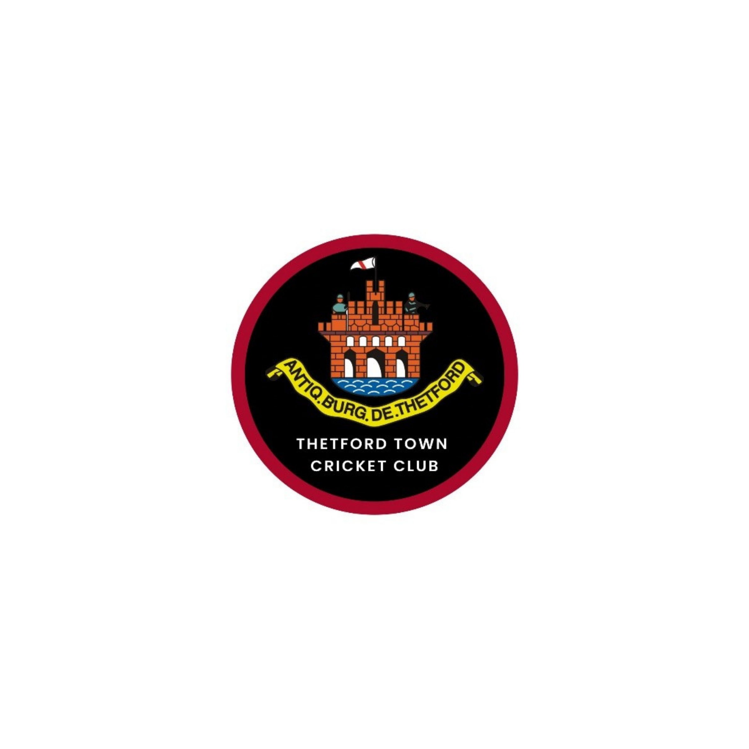Thetford Town Cricket Club logo