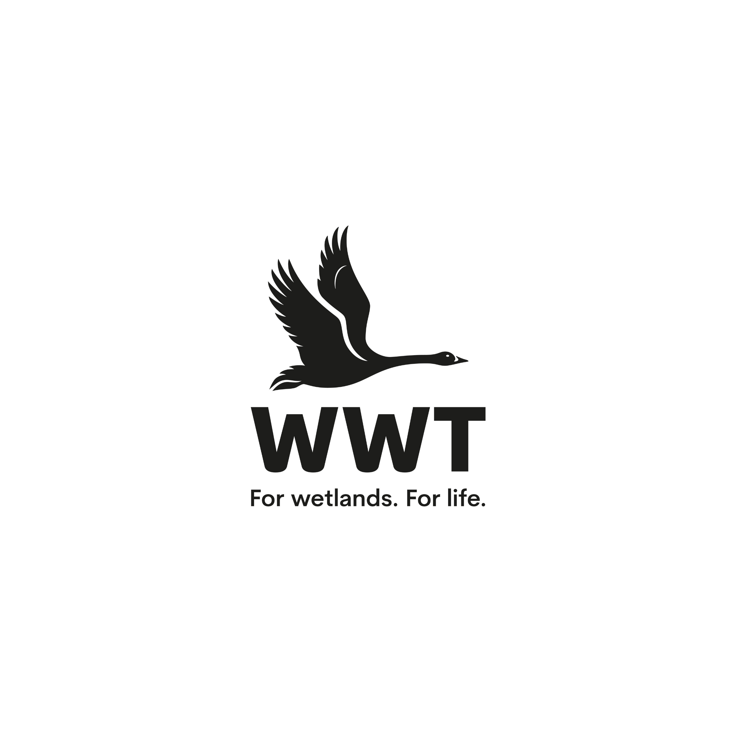 WWT