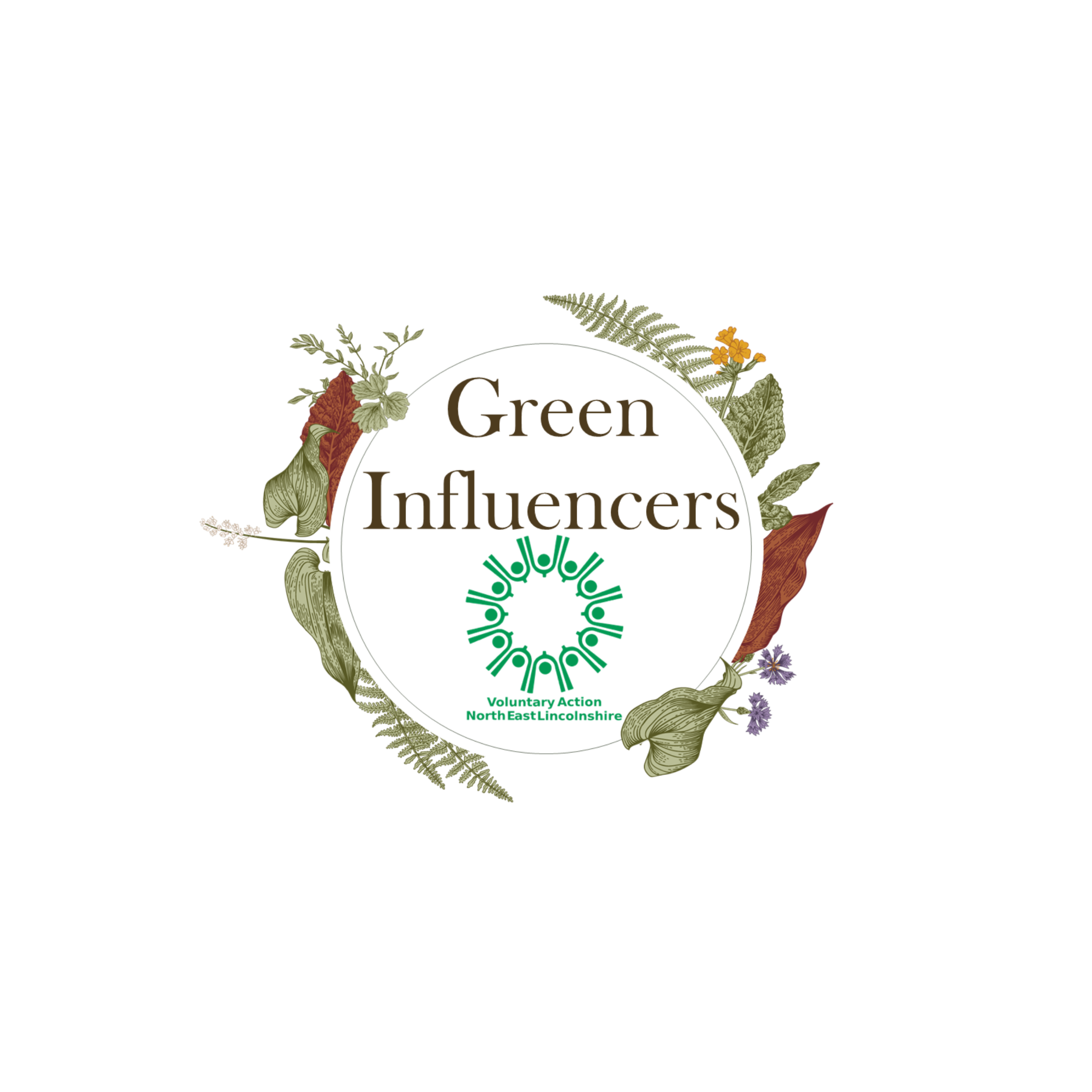 Voluntary Action North East Lincolnshire – Green Influencers Scheme