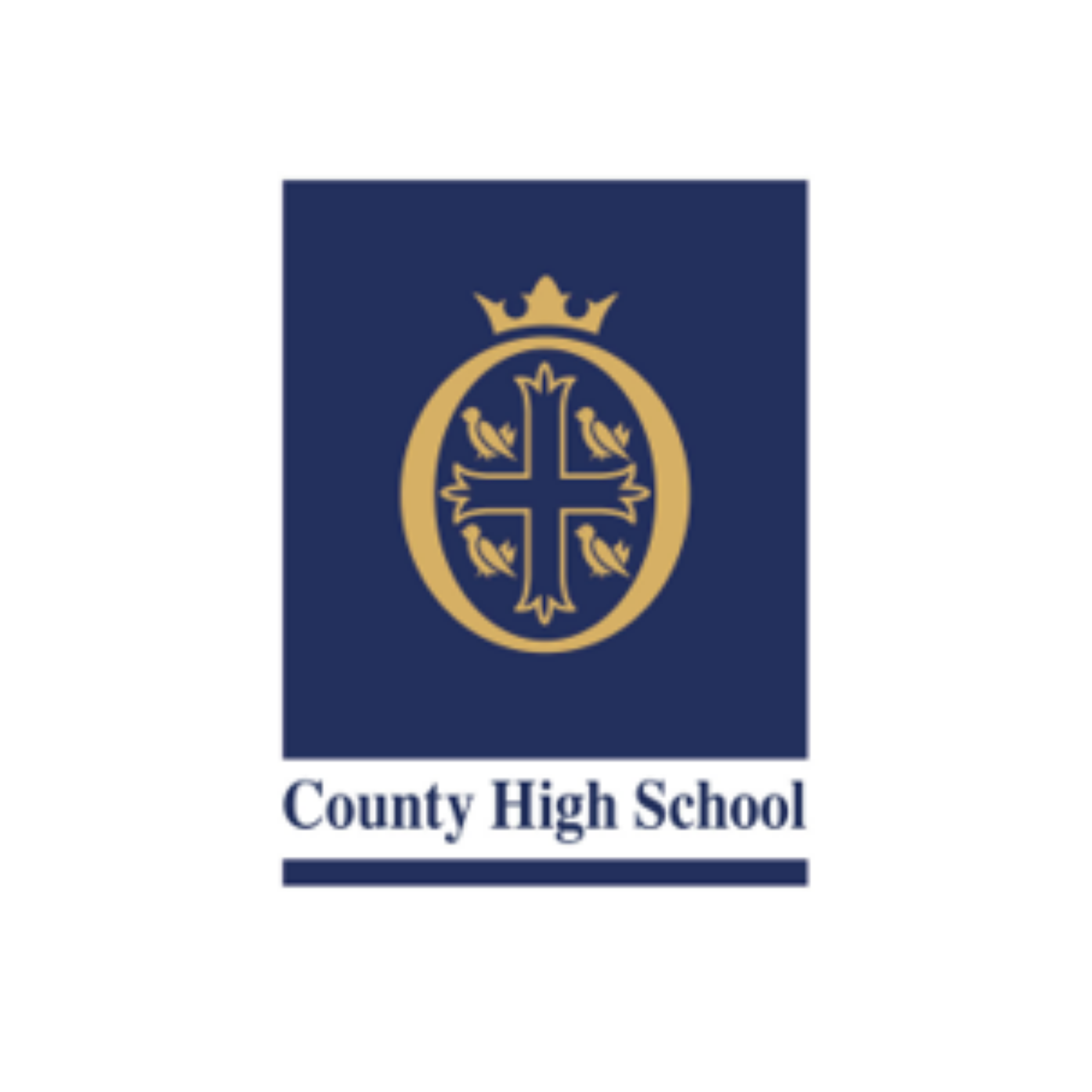 Bury St Edmunds County High School logo